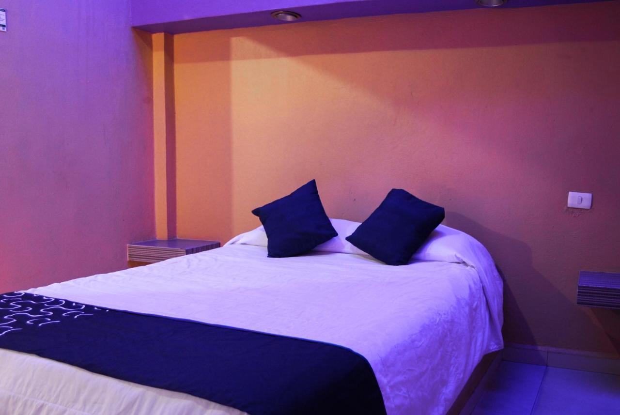 Hotel Oasis مونتيري المظهر الخارجي الصورة